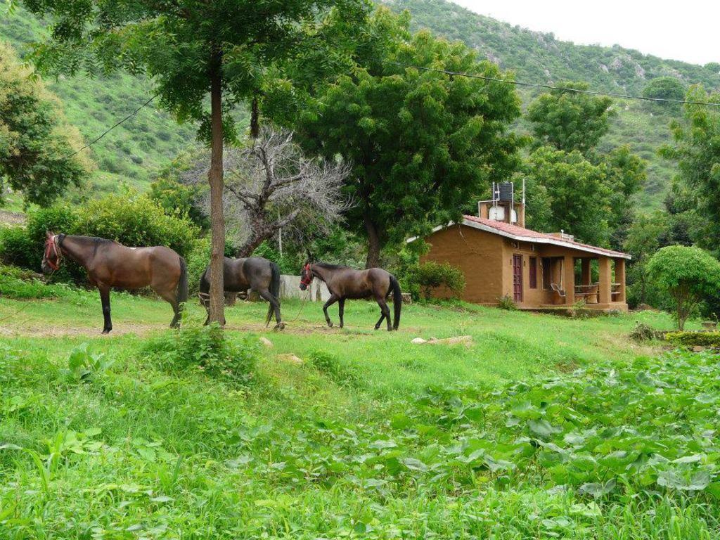 Krishna Ranch Udaipur Exterior foto
