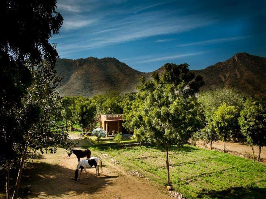 Krishna Ranch Udaipur Exterior foto
