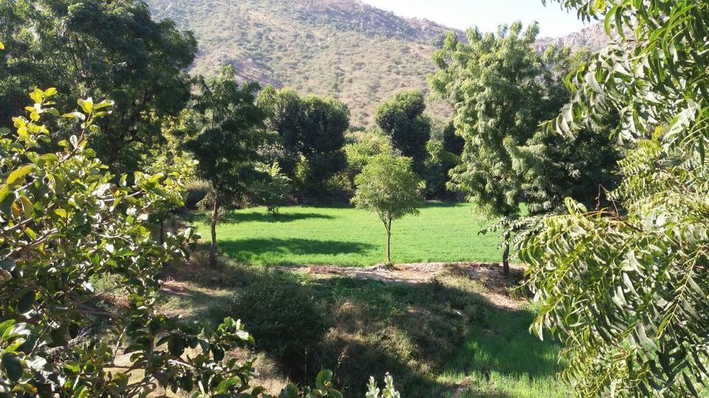 Krishna Ranch Udaipur Exterior foto